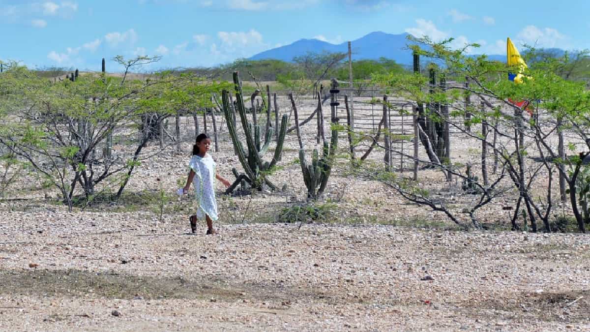 Crisis en La Guajira por falta de acceso a recursos básicos