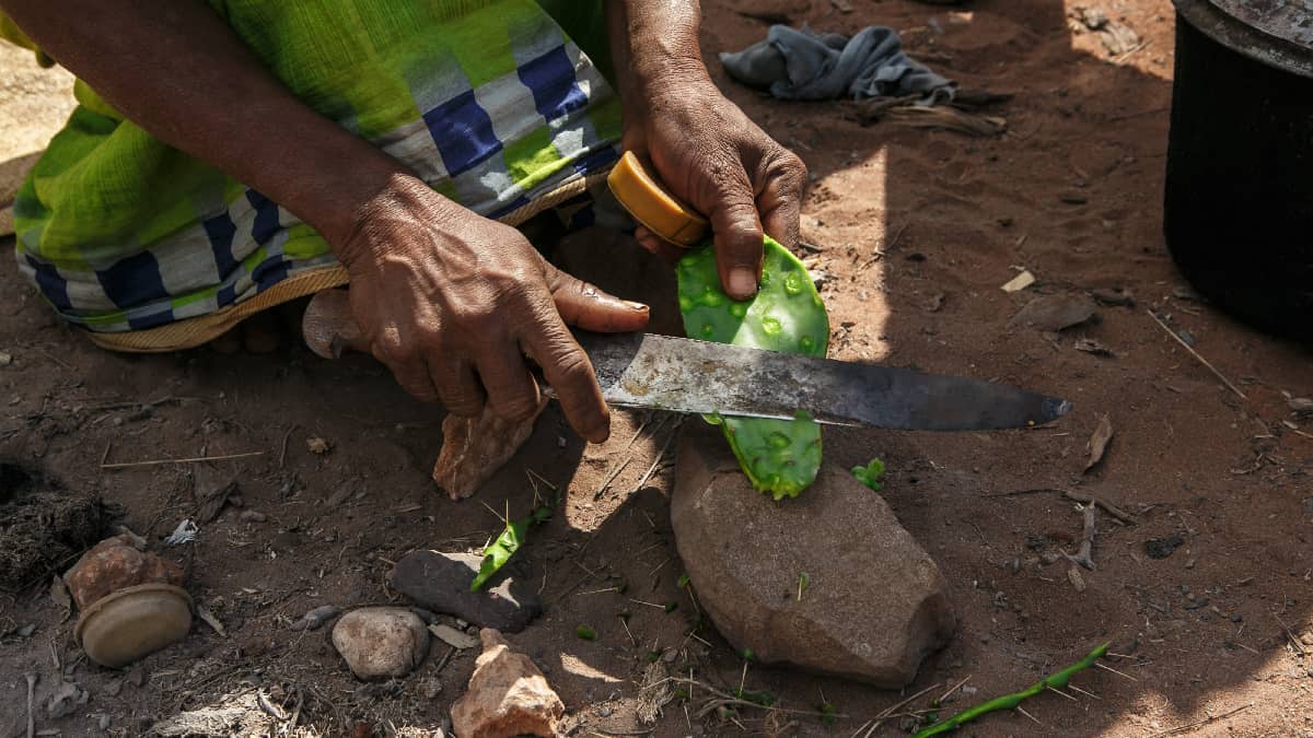"¿Qué comeré mañana?" El hambre gana terreno y más en Navidad