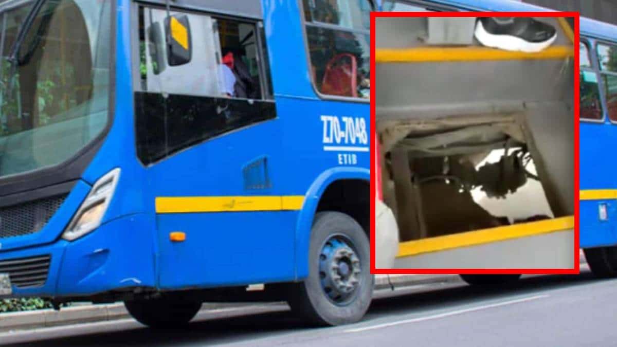 Denuncian bus del SITP transita con hueco en el suelo