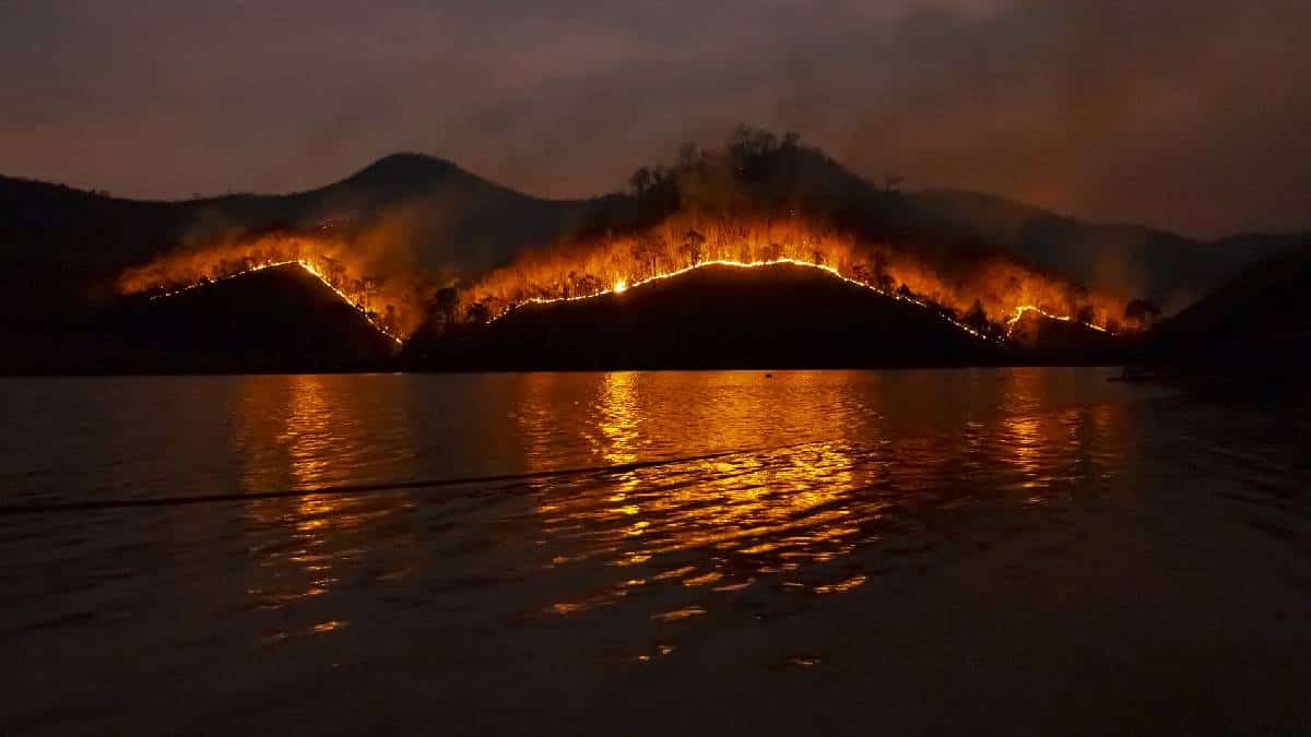 Documental sobre incendios en EE.UU. aborda la acción humana tras las llamas