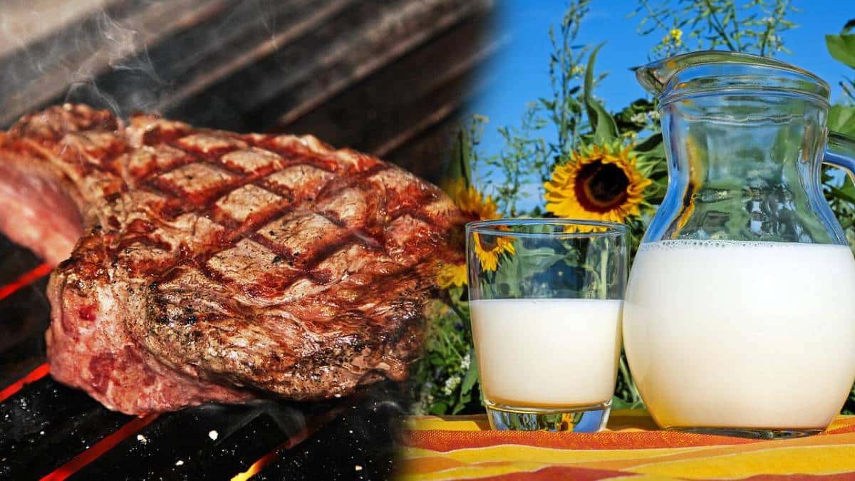 Carne y leche podrían subir de precio en Colombia