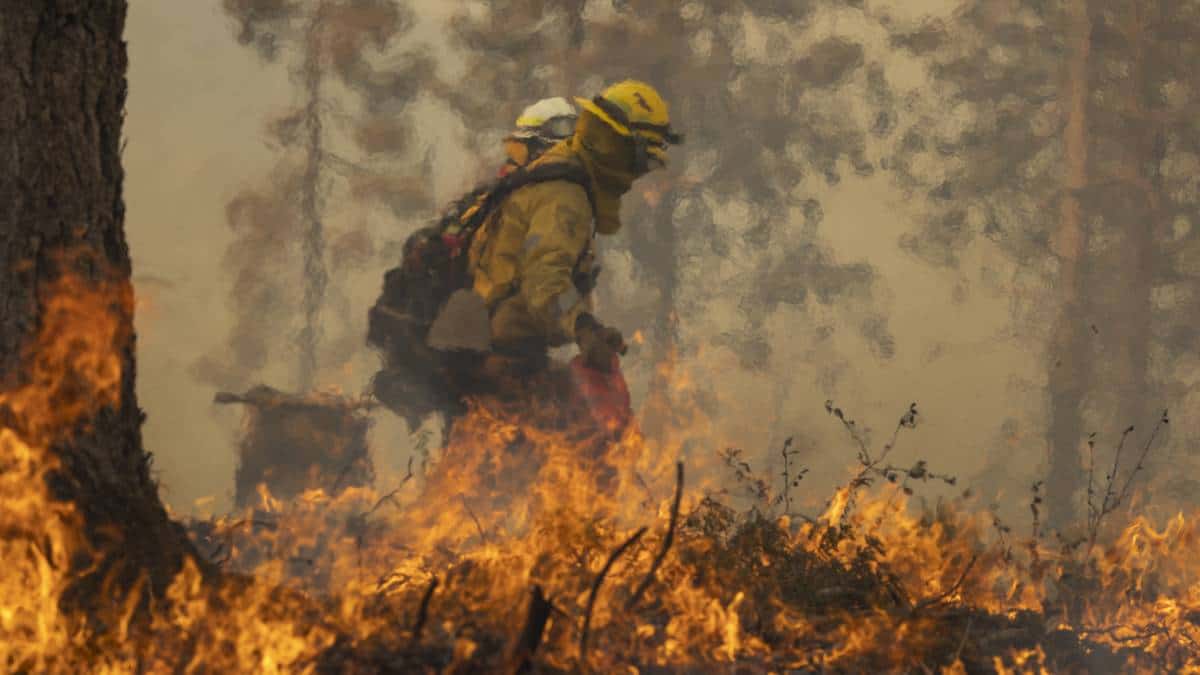 Incendio forestal se propaga ferozmente en California