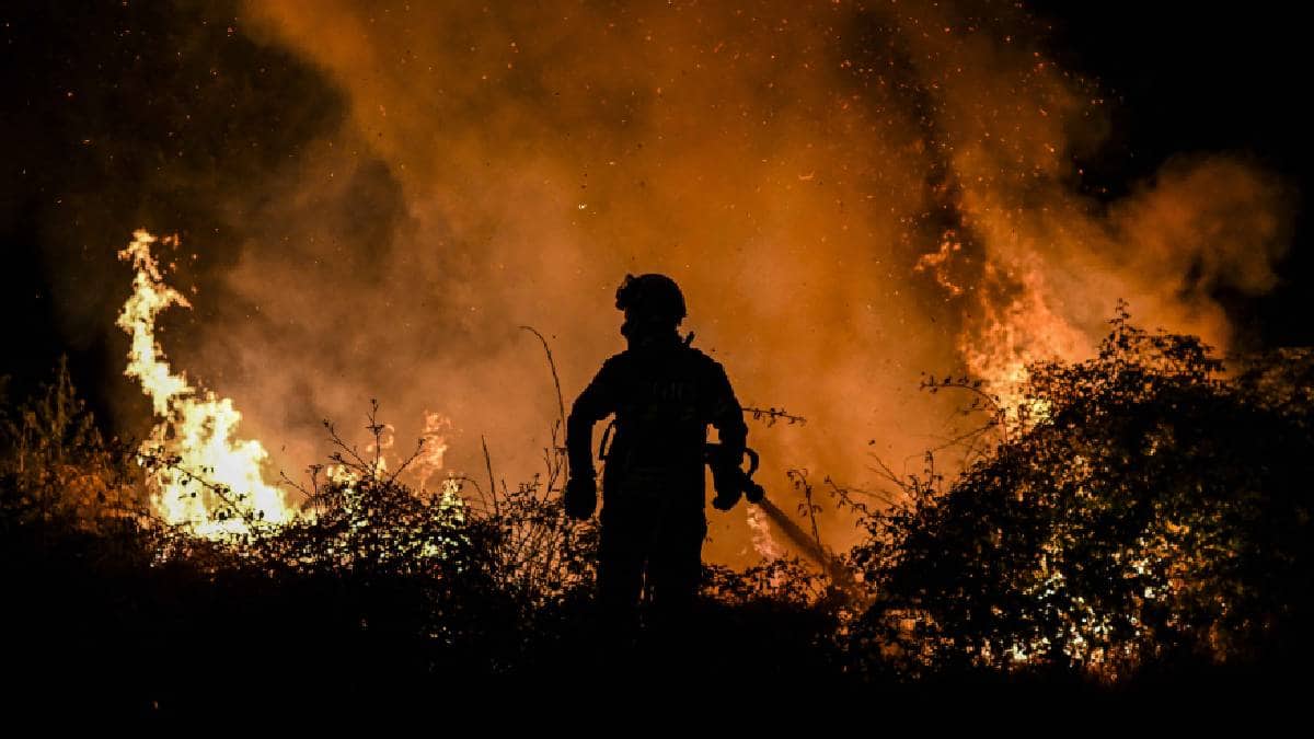 Incendios forestales por olas de calor en Europa