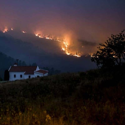 Fuertes incendios forestales en Portugal por ola de calor | Noticias RCN