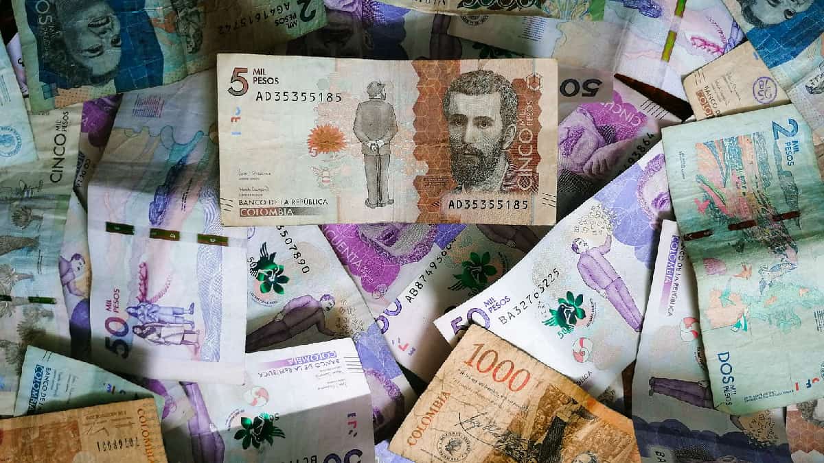 ¿Puedo hacer parte de Ingreso Solidario?