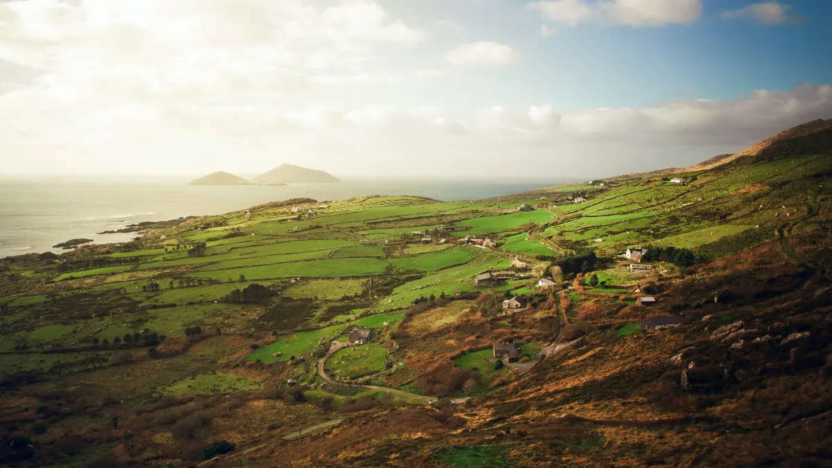 Convocatoria para agricultores colombianos en Irlanda. / Foto: Unsplash. ¡Sueldazo incluido! Abren convocatoria laboral en Irlanda para colombianos
