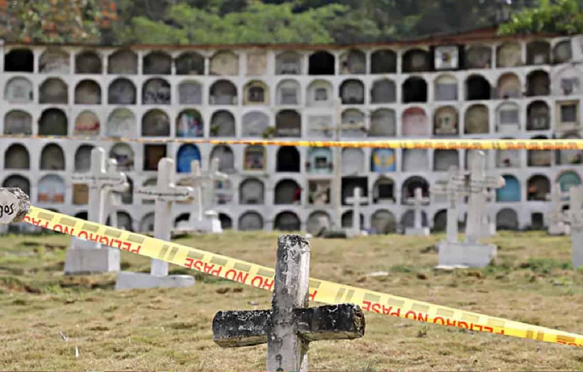 Aún quedan varias zonas del cementerio por revisar.