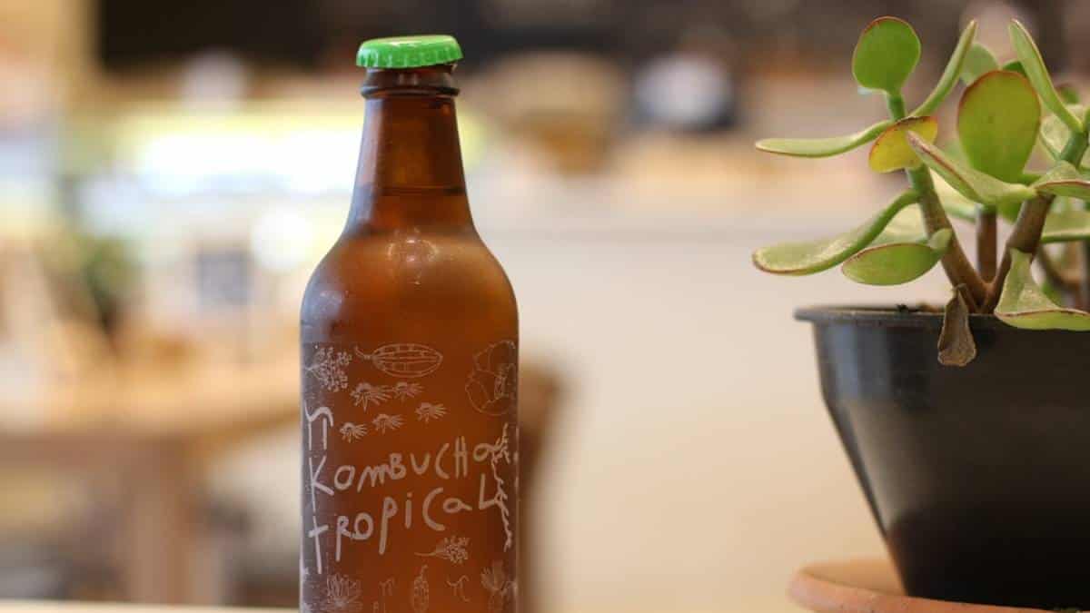 Kombucha: ¿cuáles son los beneficios de la famosa bebida?