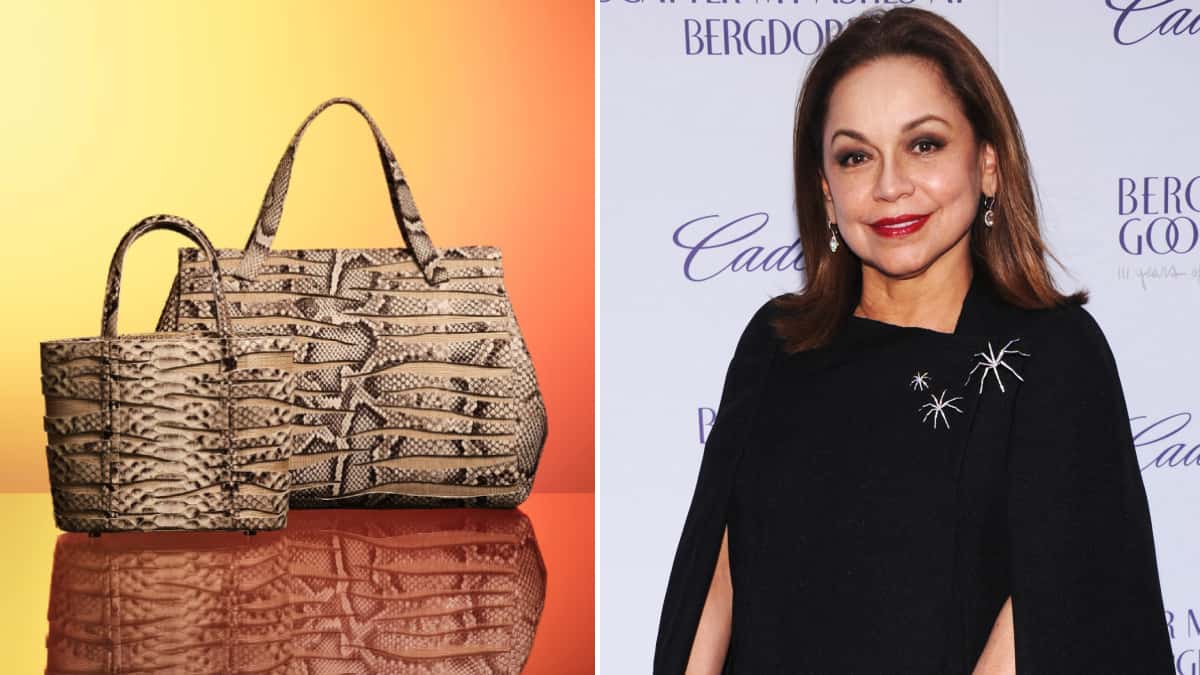 La condena que pagaría la diseñadora Nancy González