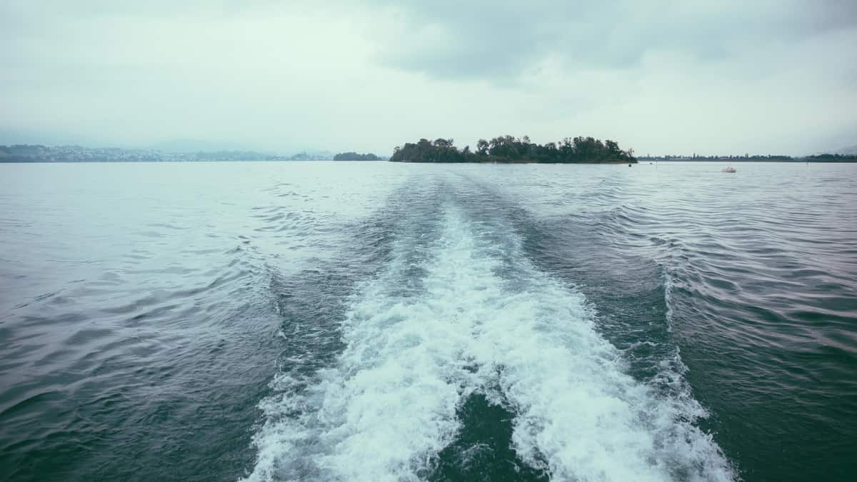 Imagen de referencia