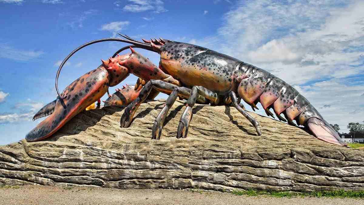 La Sagrada Orden de la Garra