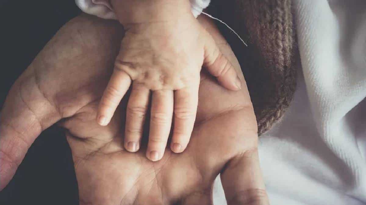 Durante la licencia de paternidad el empleador deberá garantizar el cargo de su empleado.