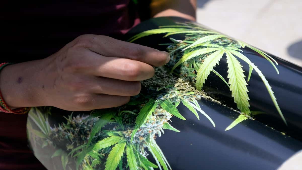 México despenaliza el consumo recreativo de marihuana.