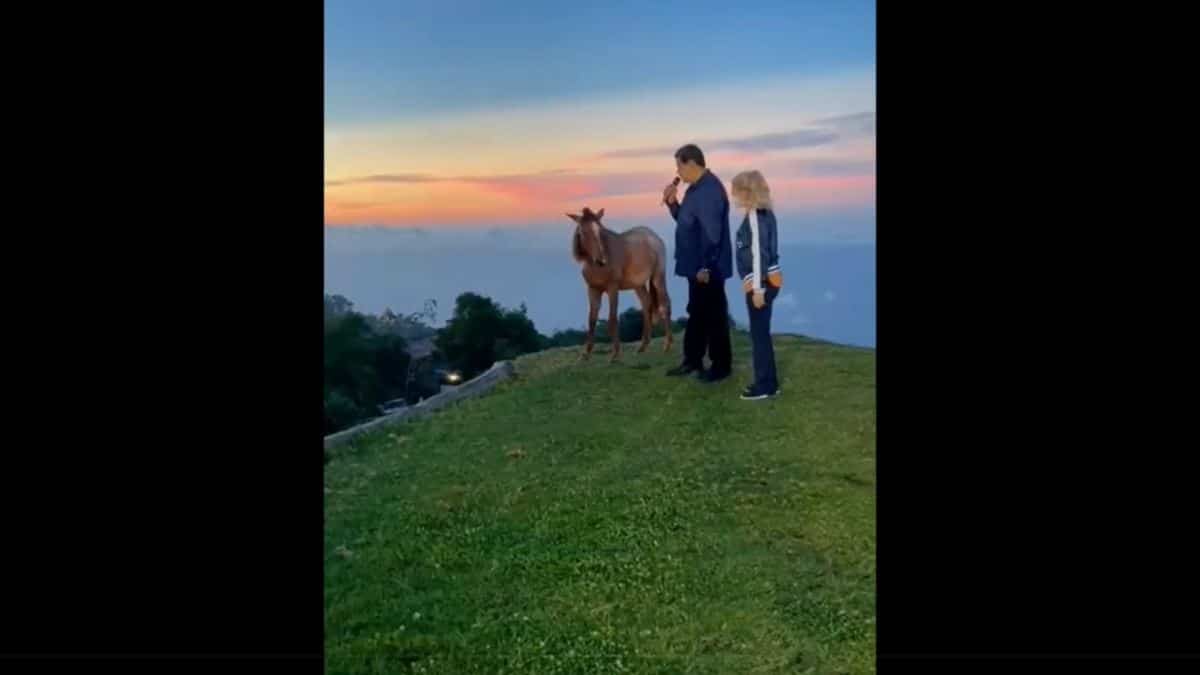 Nicolás Maduro habla con un burro