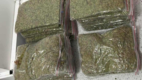 Trump le bajará el nivel de peligrosidad a la marihuana en EE. UU.: ¿qué significa esto?