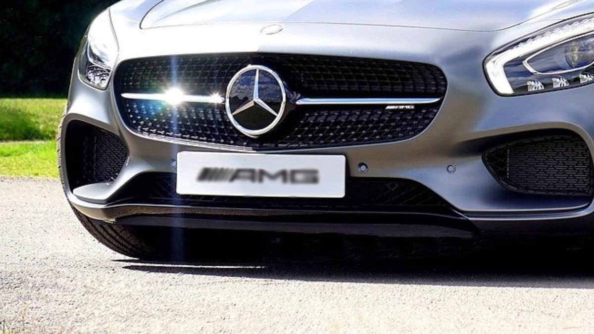 Imagen de referencia