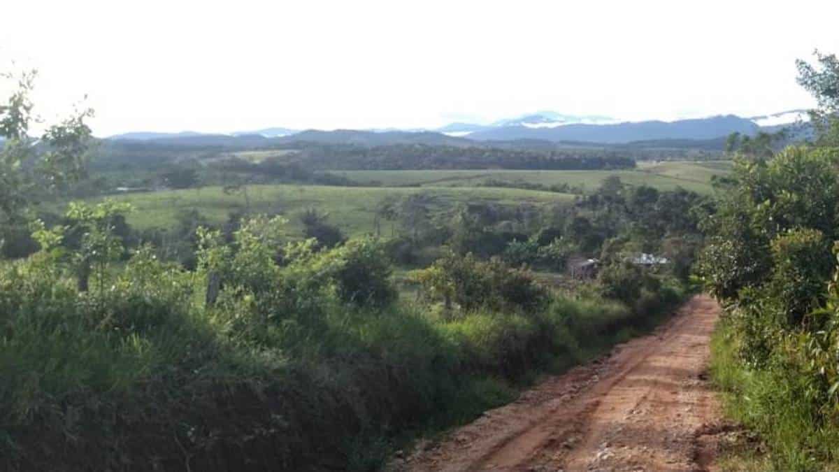 Encuentran cuatro cuerpos que corresponderían a personas desaparecidas en el Meta