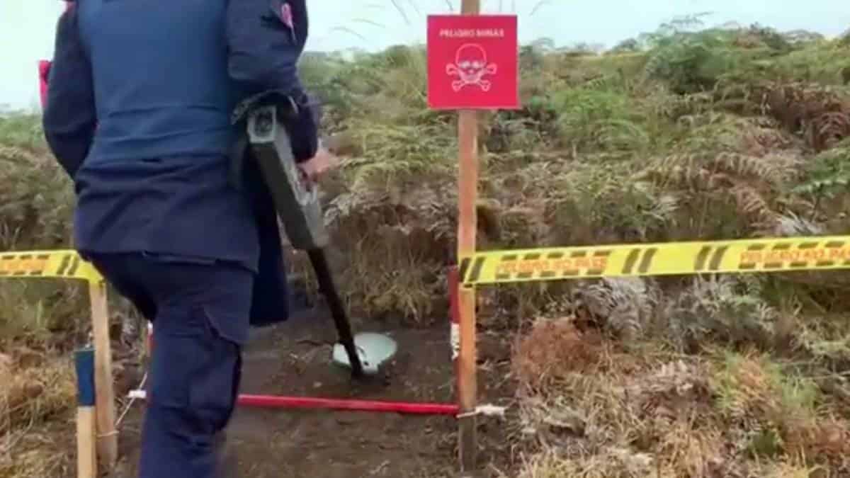 Desminado en Valle del Cauca
