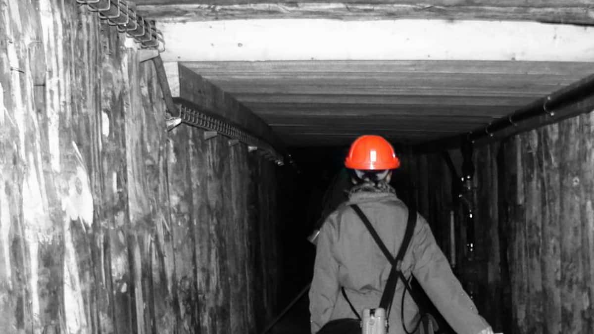 Imagen de referencia