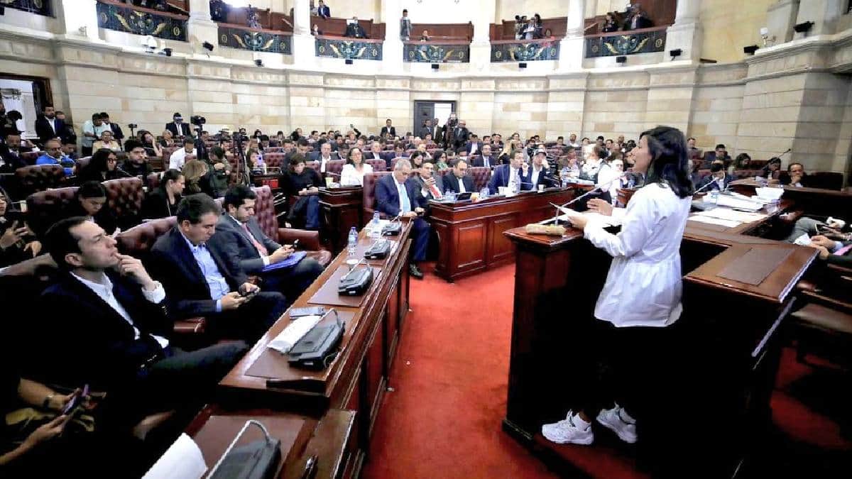 Ministra de Minas y Energía, Irene Vélez