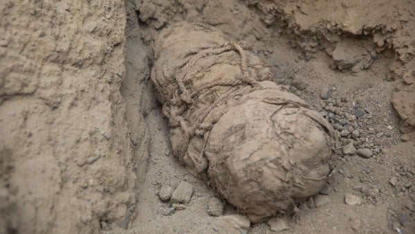 Arqueólogos hallaron seis momias preincas de niños víctimas de sacrificios Arqueólogos hallaron seis momias preincas de niños víctimas de sacrificios