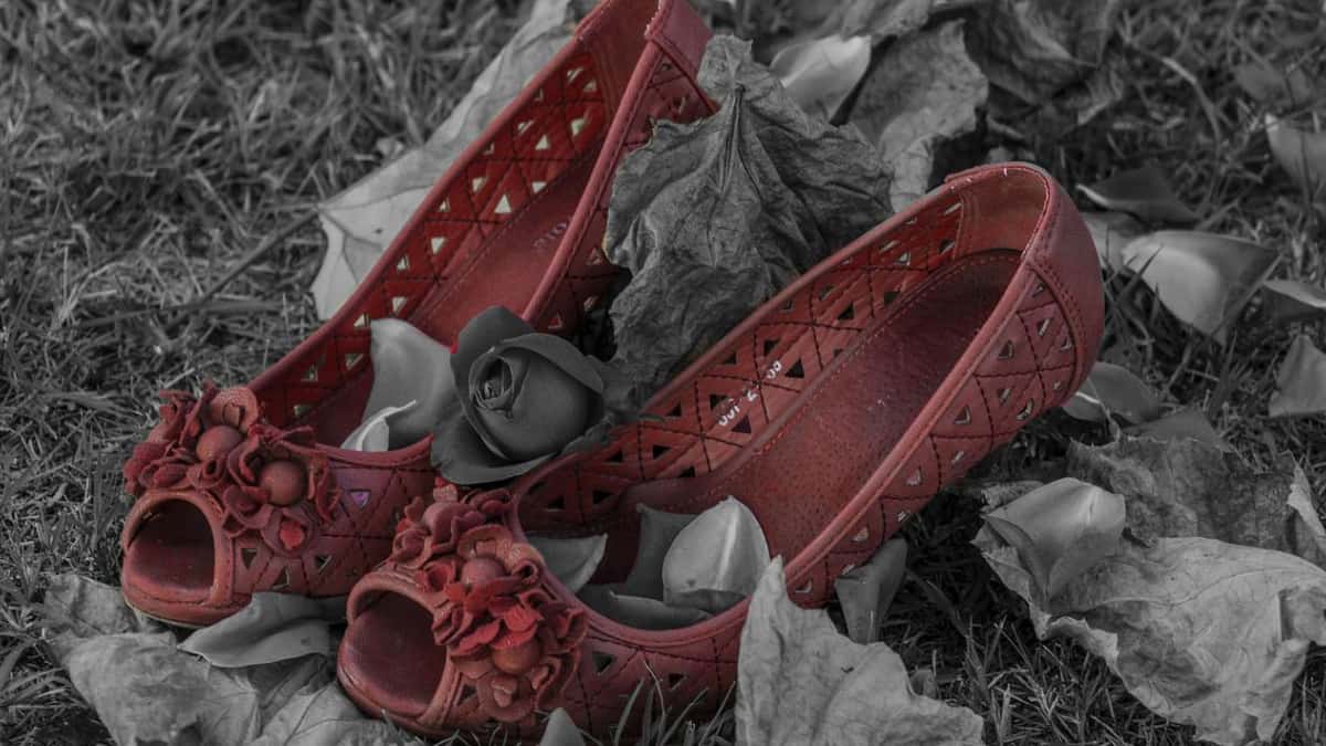 Imagen de referencia