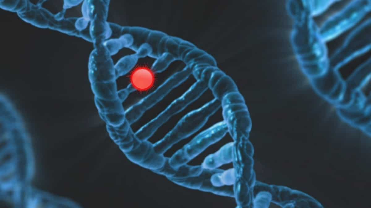 La nanomedicina utilizada para curar las enfermedades graves