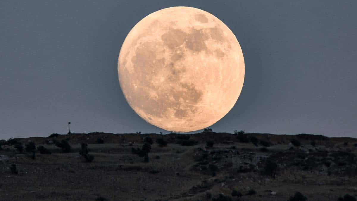 ¿Cuándo ver la superluna de fresa en Bogotá?