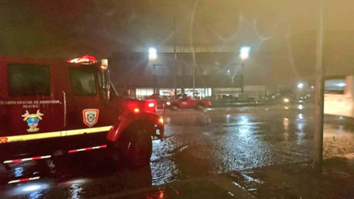 Niño desapareció en una quebrada llena de babillas en Barrancabermeja.