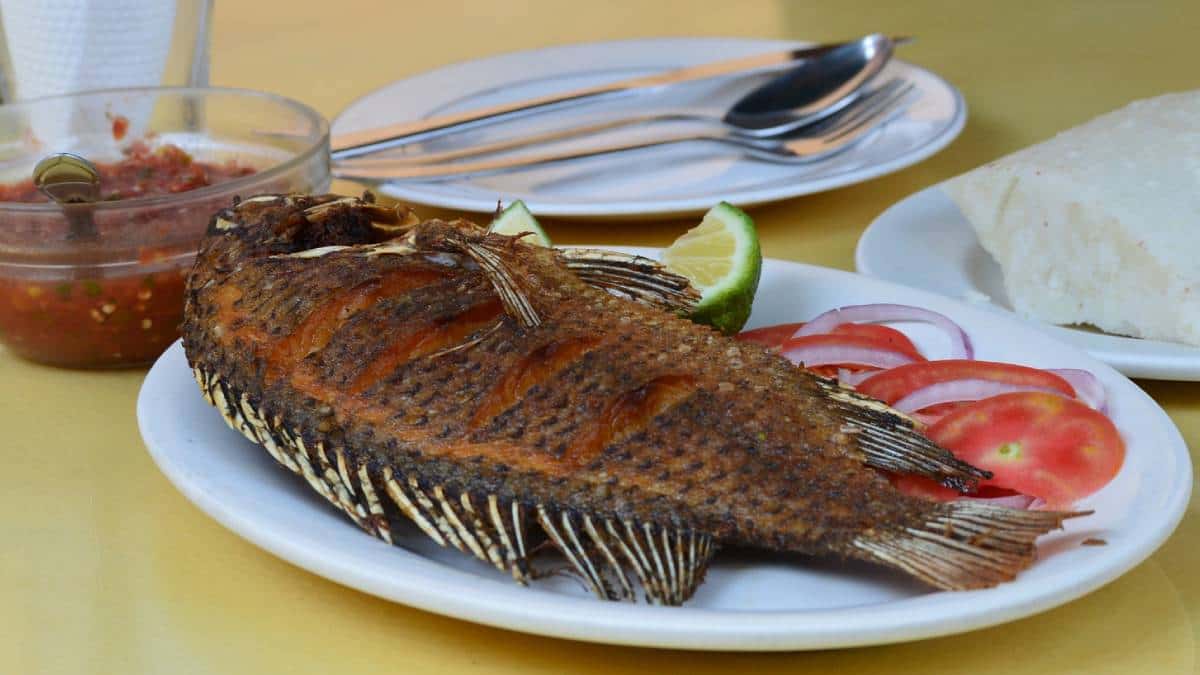 El pescado habría sido preparado con una sustancia tóxica