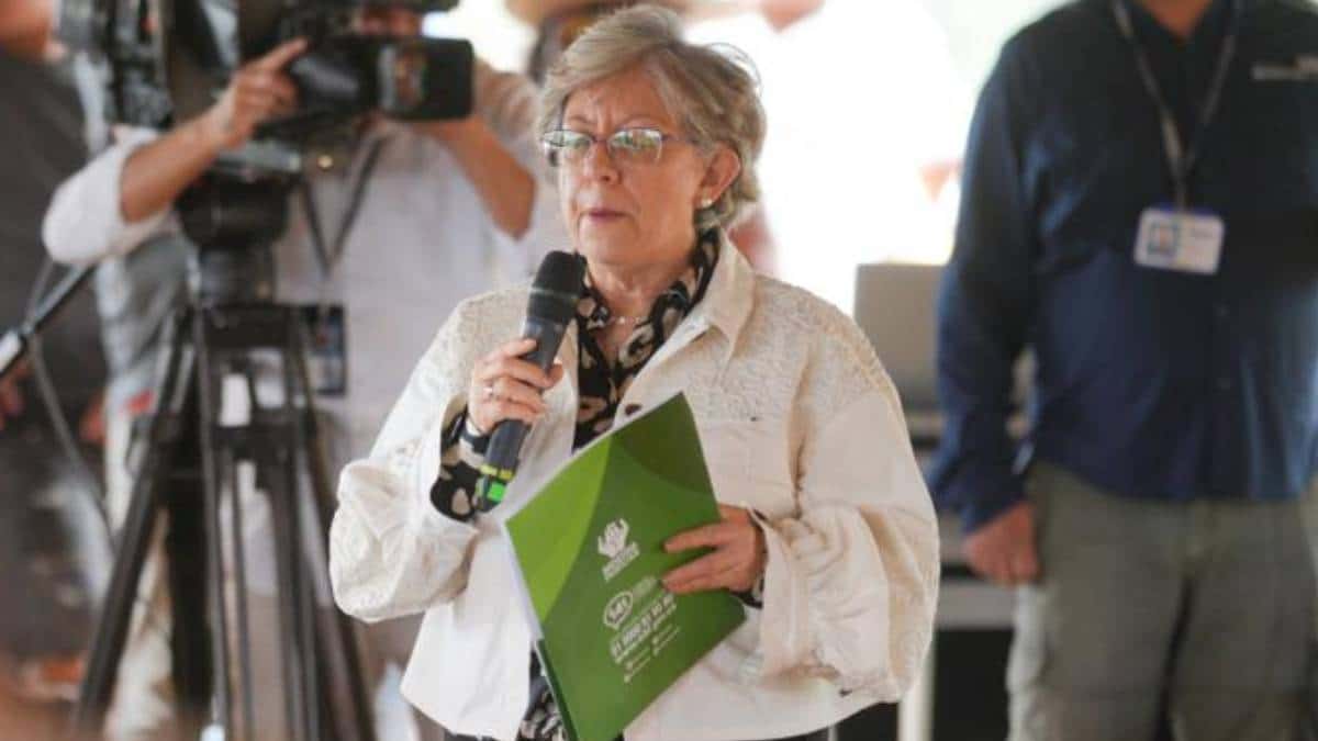Concepción Baracaldo, directora del ICBF.