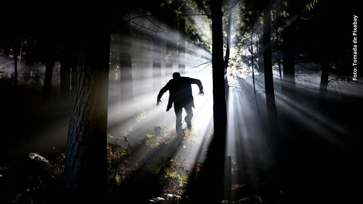 Foto: Tomada de Pixabay