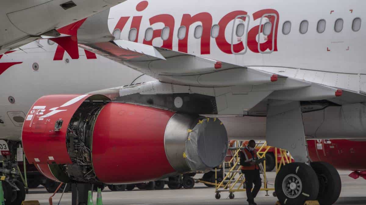 Foto: AFP Las nuevas rutas y ajustes que implementará Avianca en Colombia y otros países