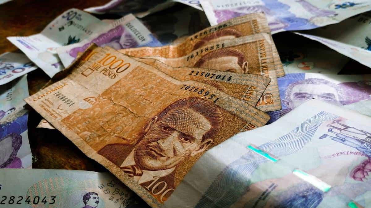 Empezó el ciclo 16 de Ingreso Solidario