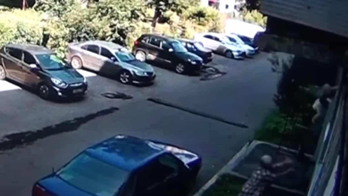 Momento en que mujer salvó a bebé que caía por una ventana