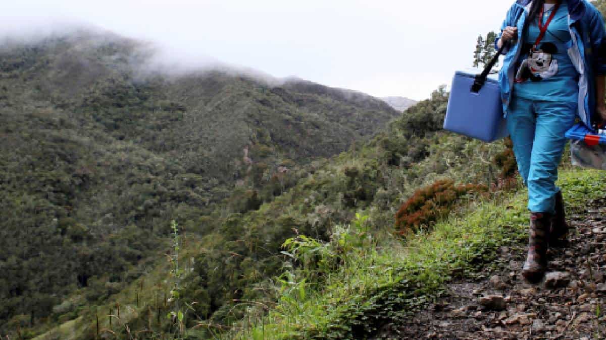 ¿Cómo funcionará el fondo para mujeres rurales?
