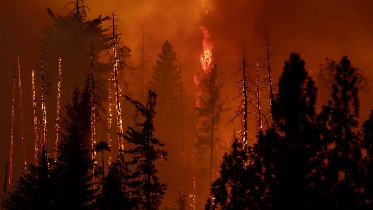 Miles de evacuados en EE. UU. por intensa ola de calor