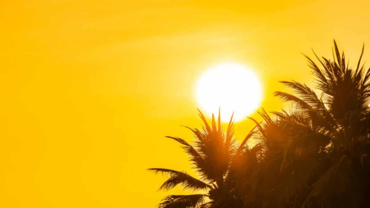 Ola de calor deja desastrosas consecuencias en Estados Unidos y Canadá