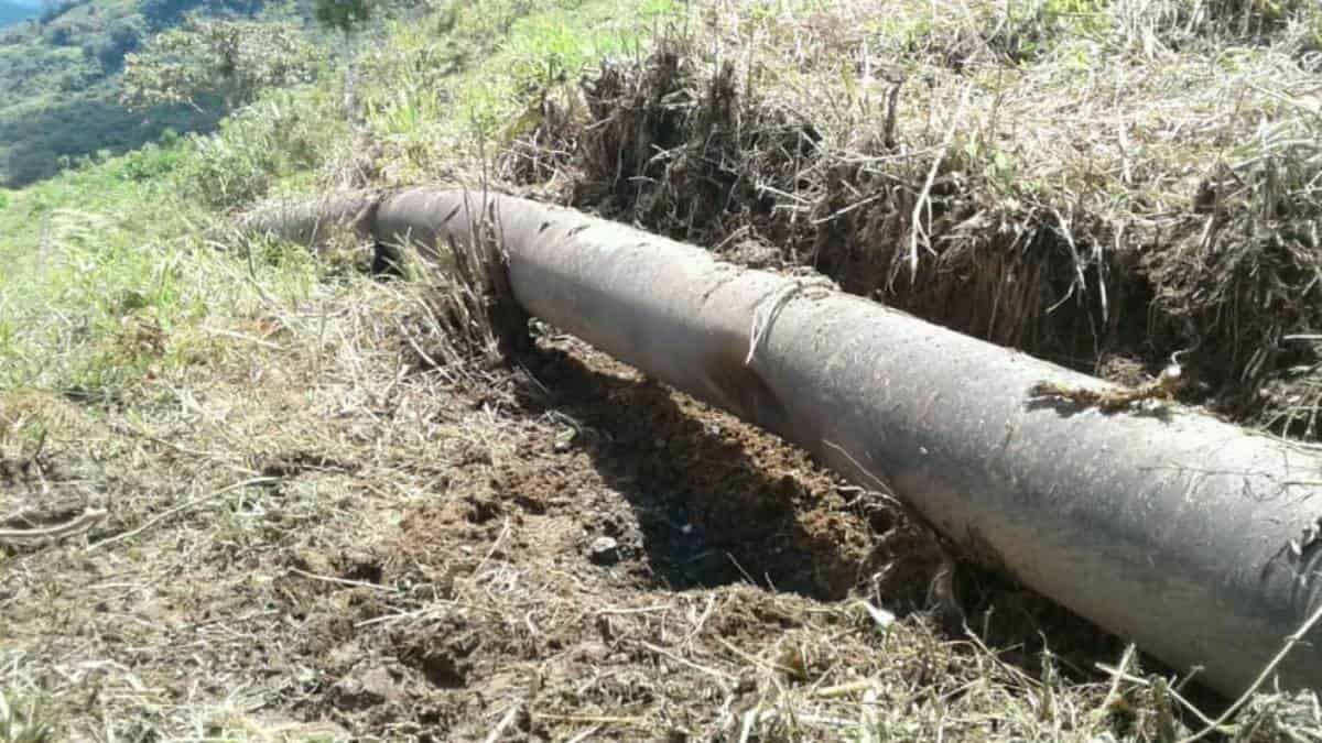 Ecopetrol activó plan de contingencia en oleoducto Transandino tras atentado
