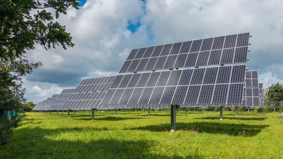 Paneles solares, vanguardia en la producción y ahorro de energía