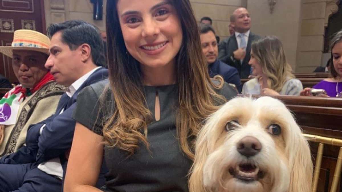 Perro asistió a la instalación del nuevo Congreso