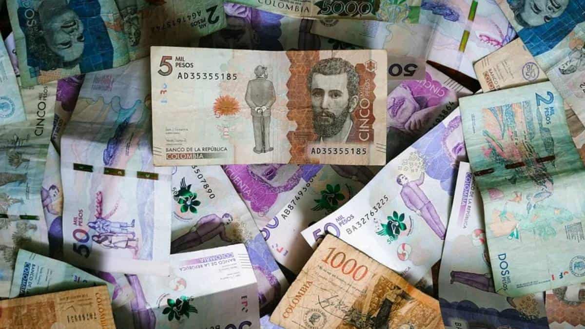 Supersociedades interviene a presunta pirámide por captación ilegal de dinero