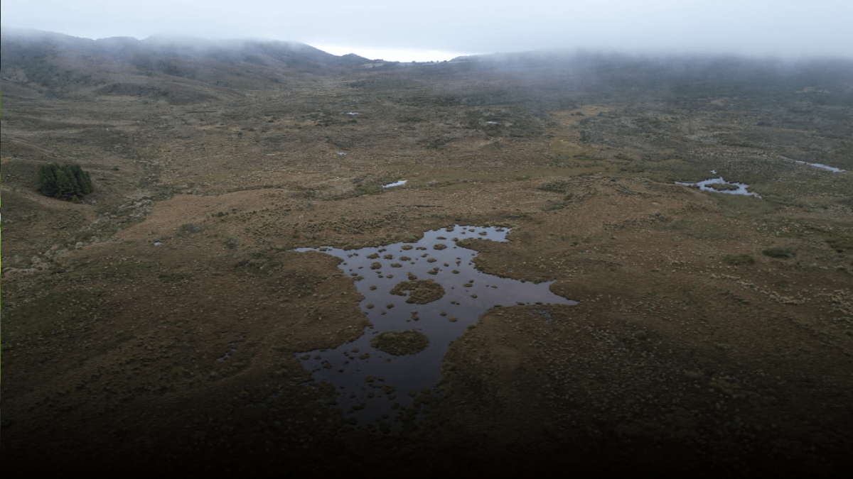 Gobernación instala Puesto de Mando Unificado para monitorear río Bogotá