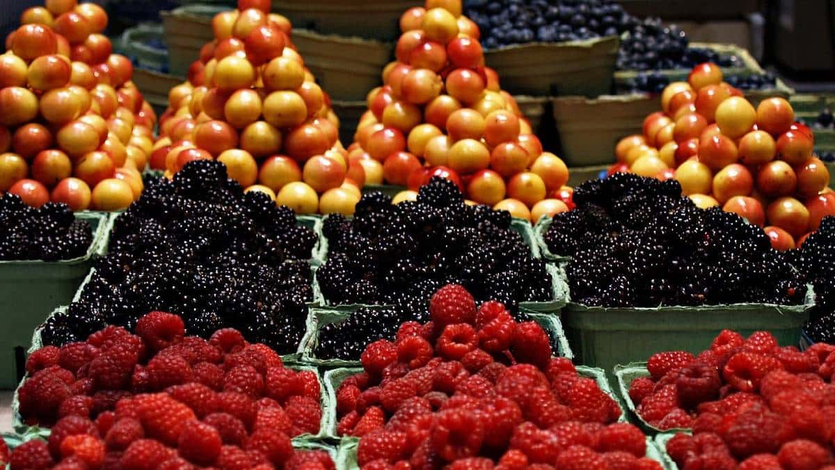Alimentos que no subieron de precio esta semana