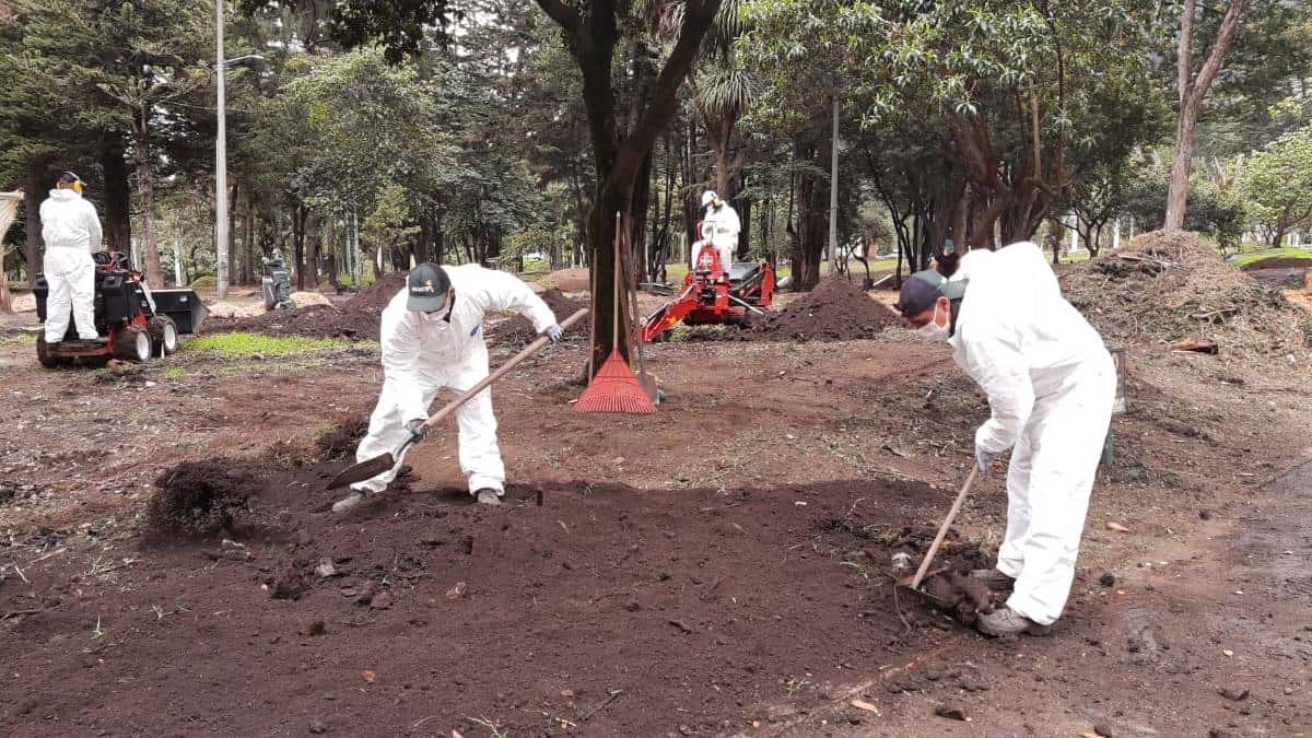 Plantación de árboles en el Parque Nacional