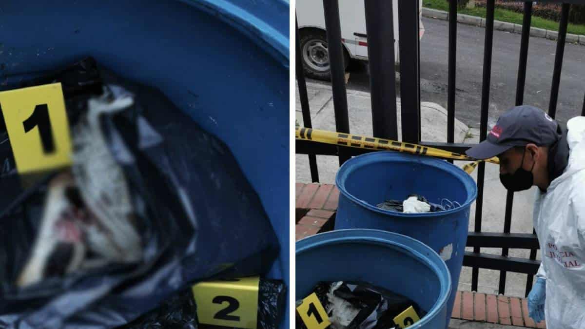 Ritos de santería en Bogotá