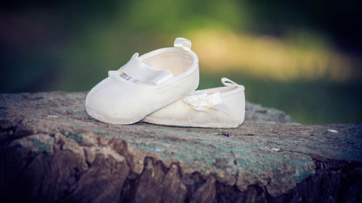 Imagen de referencia