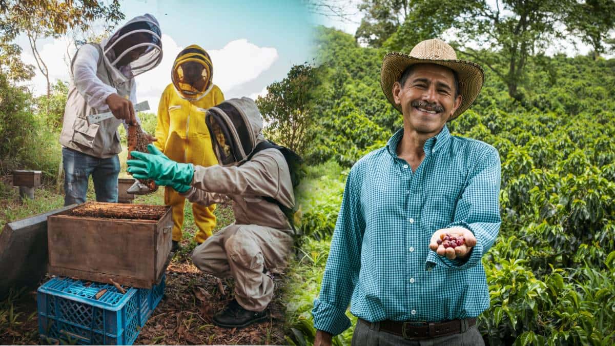 USAID y su ayuda a sectores productivos en Colombia
