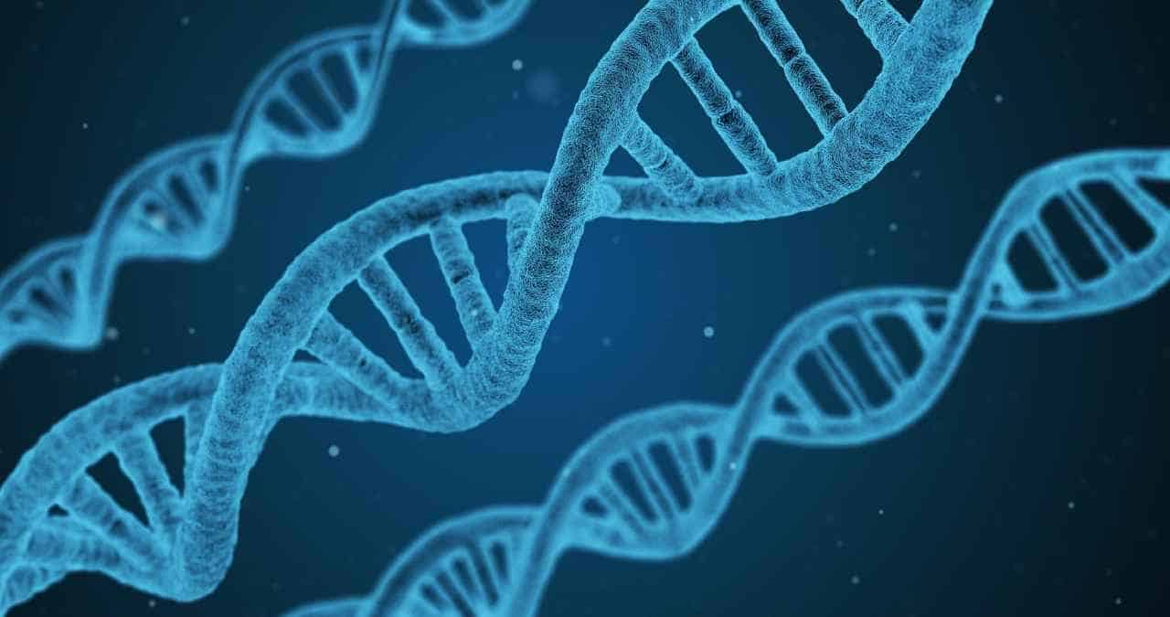 Foto: Pixabay. Dos secuenciadores de ADN ganan el Premio del Milenio, considerado el 'Nobel de la Tecnología'