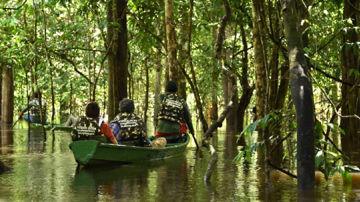 Banda que utilizaba indígenas para narcotráfico fue desarticulada